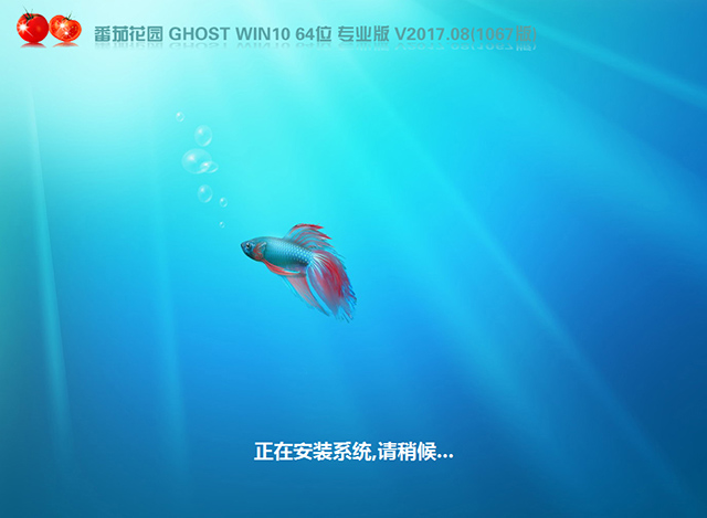 番茄花园GHOST WIN10 64位 专业版 V2017.08(免激活)